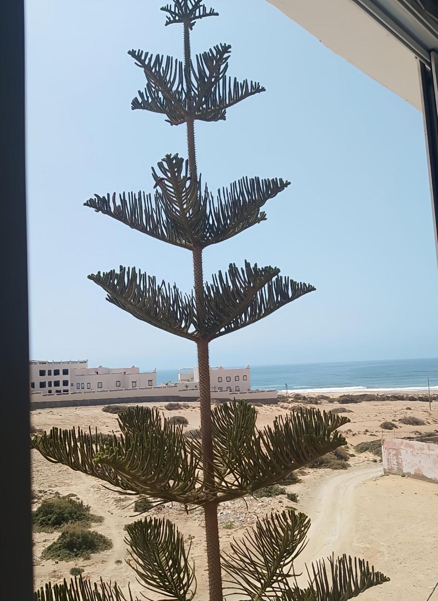 Hotel Tildi Surf House Imsouane Exteriér fotografie